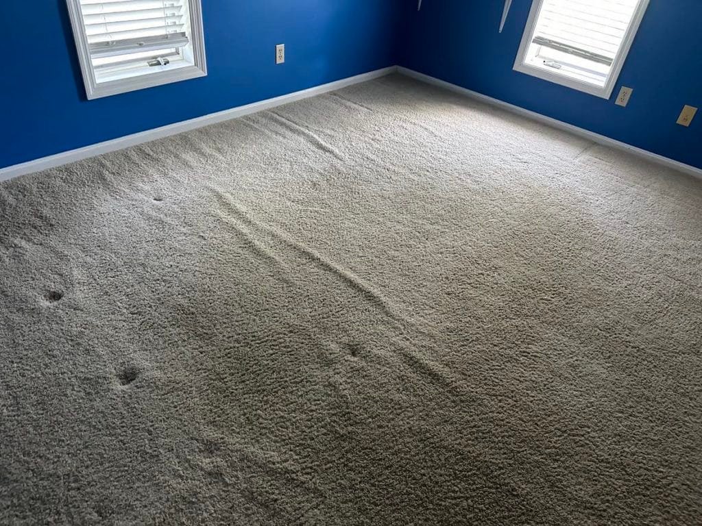 Carpet Repair in Tampa Bay, Florida