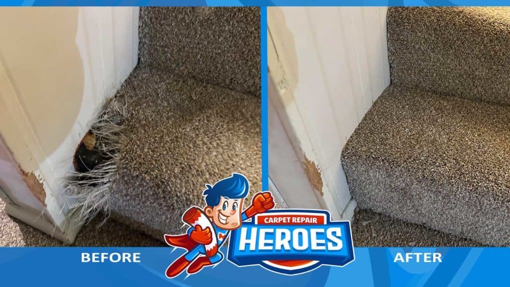 Carpet Repair in Tampa Bay, Florida